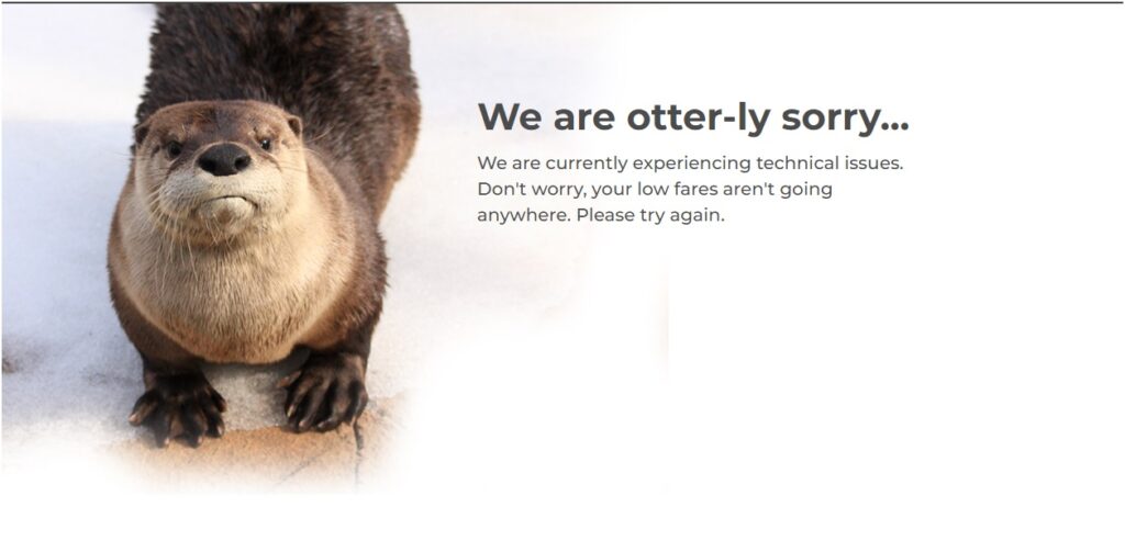 An entirely useless error message, but at least the otter is cute?